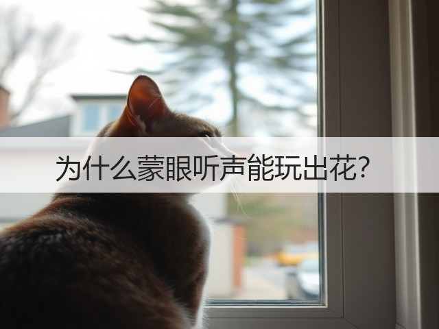 为什么蒙眼听声能玩出花?(图3) 为什么蒙眼听声能玩出花?(图3)