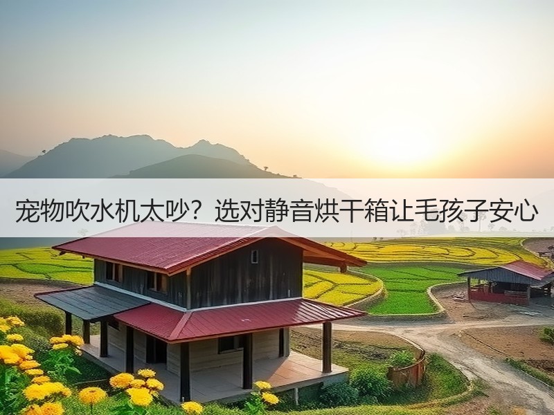 宠物吹水机太吵？选对静音烘干箱让毛孩子安心