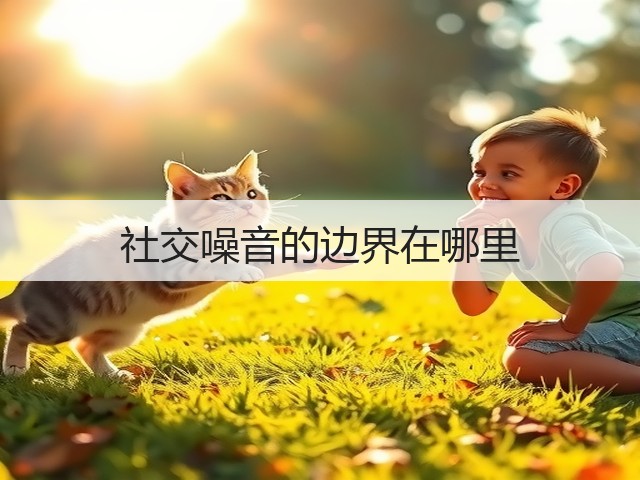 社交噪音的边界在哪里(图3)