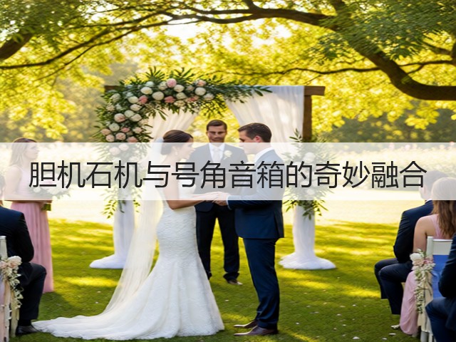 胆机石机与号角音箱的奇妙融合(图2)