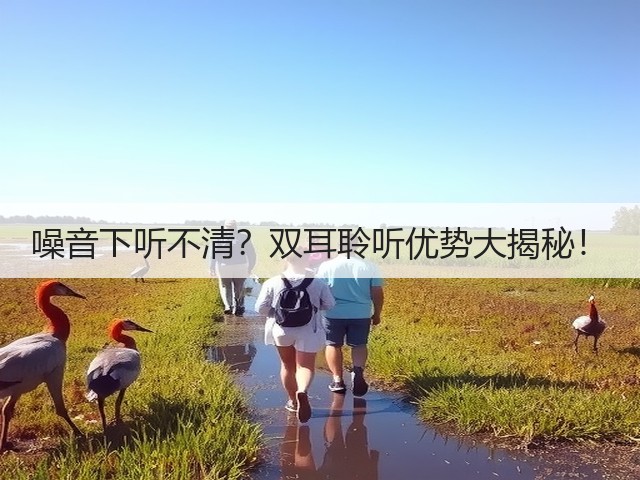 噪音下听不清?双耳聆听优势大揭秘!(图2) 噪音下听不清?双耳聆听优势大揭秘!(图2)