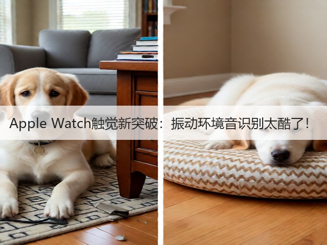 Apple Watch触觉新突破:振动环境音识别太酷了!(图4) Apple Watch触觉新突破:振动环境音识别太酷了!(图4)