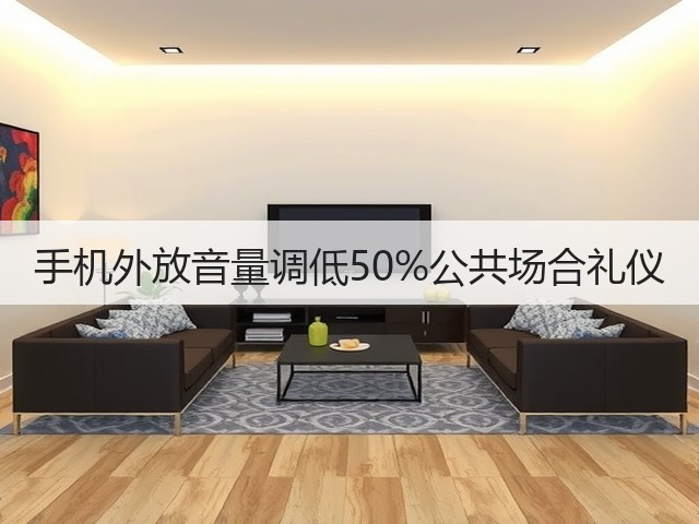手机外放音量调低50%公共场合礼仪(图2) 手机外放音量调低50%公共场合礼仪(图2)