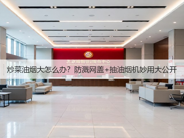 炒菜油烟大怎么办?防溅网盖+抽油烟机妙用大公开(图1) 炒菜油烟大怎么办?防溅网盖+抽油烟机妙用大公开(图1)