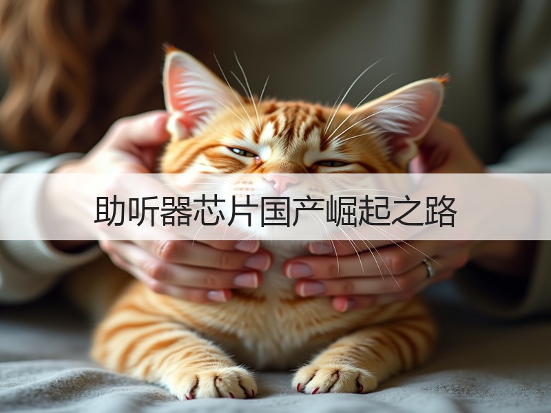 助听器芯片国产崛起之路