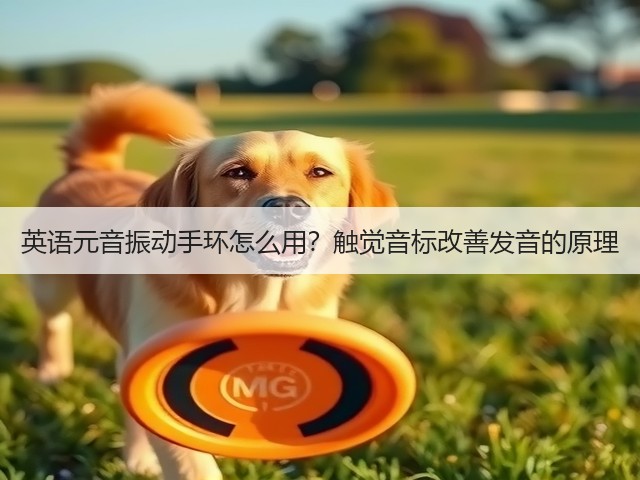 英语元音振动手环怎么用？触觉音标改善发音的原理(图2)