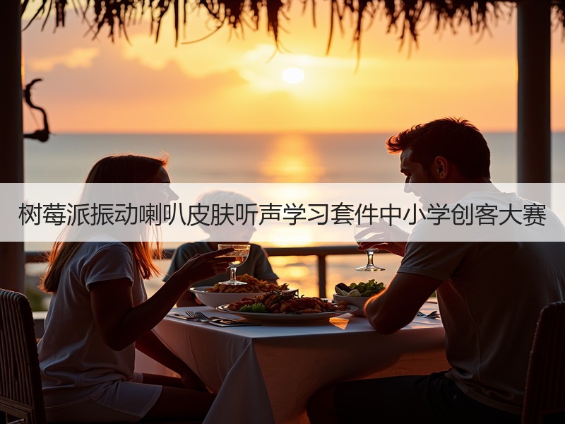 树莓派振动喇叭皮肤听声学习套件中小学创客大赛