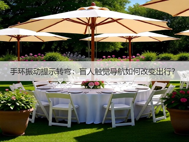手环振动提示转弯：盲人触觉导航如何改变出行？(图4)