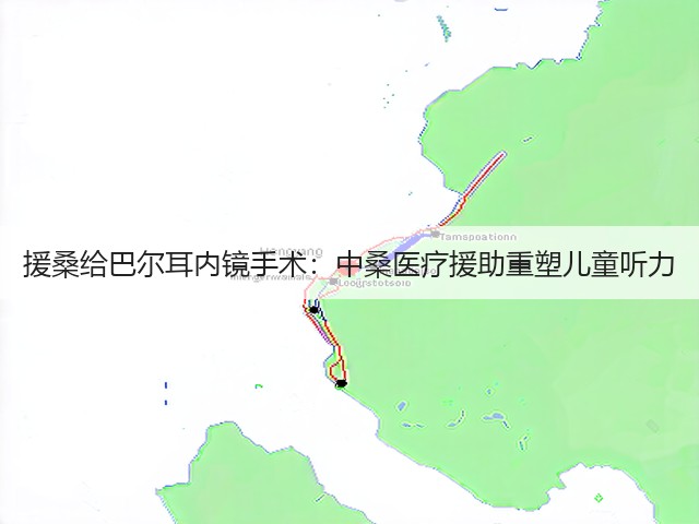 援桑给巴尔耳内镜手术:中桑医疗援助重塑儿童听力(图3) 援桑给巴尔耳内镜手术:中桑医疗援助重塑儿童听力(图3)