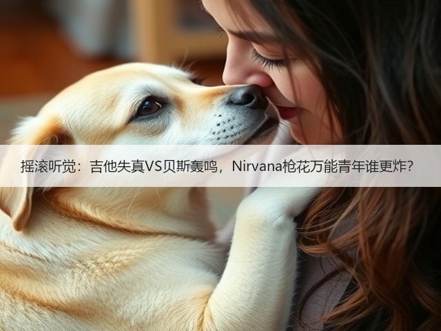 摇滚听觉：吉他失真VS贝斯轰鸣，Nirvana枪花万能青年谁更炸？(图3)