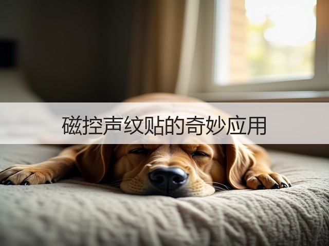 磁控声纹贴的奇妙应用(图3) 磁控声纹贴的奇妙应用(图3)