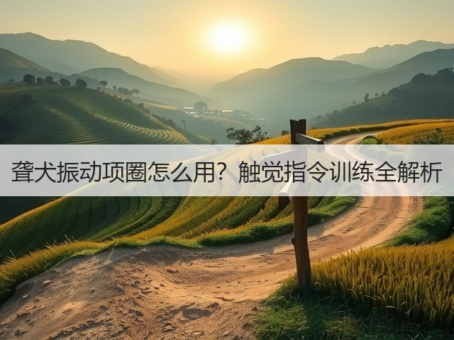 聋犬振动项圈怎么用?触觉指令训练全解析(图1) 聋犬振动项圈怎么用?触觉指令训练全解析(图1)