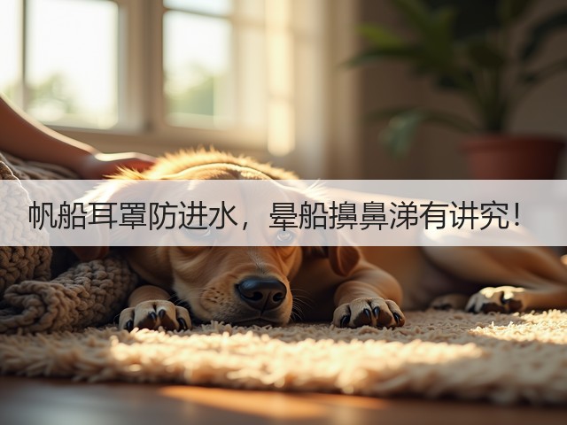 帆船耳罩防进水,晕船擤鼻涕有讲究!(图3) 帆船耳罩防进水,晕船擤鼻涕有讲究!(图3)