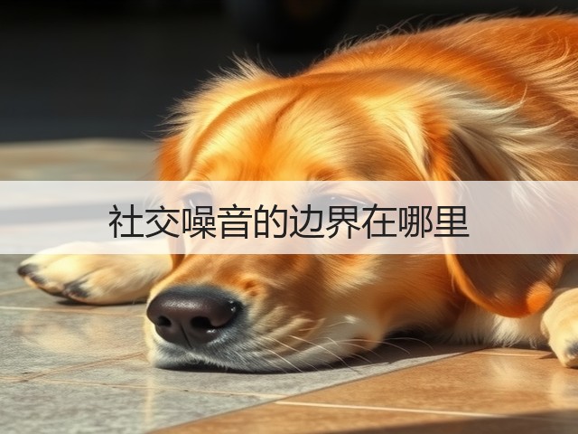 社交噪音的边界在哪里(图1)