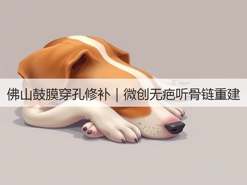 佛山鼓膜穿孔修补｜微创无疤听骨链重建