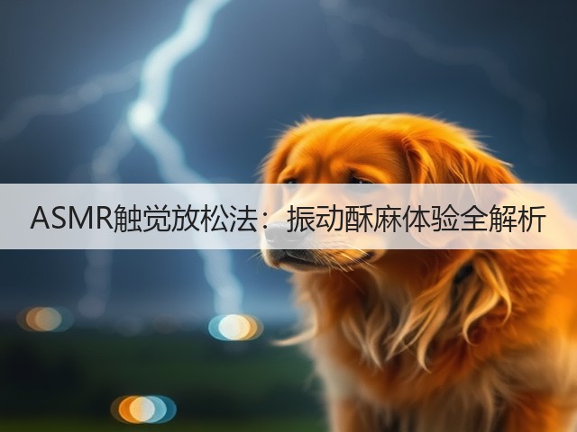 ASMR触觉放松法：振动酥麻体验全解析(图2)