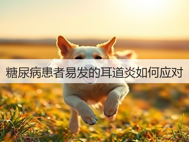糖尿病患者易发的耳道炎如何应对(图3) 糖尿病患者易发的耳道炎如何应对(图3)