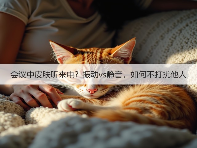 会议中皮肤听来电?振动vs静音,如何不打扰他人(图1) 会议中皮肤听来电?振动vs静音,如何不打扰他人(图1)
