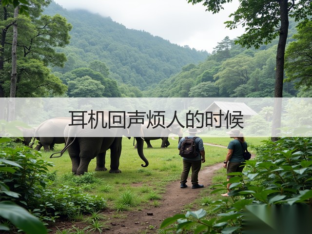 耳机回声烦人的时候(图1) 耳机回声烦人的时候(图1)