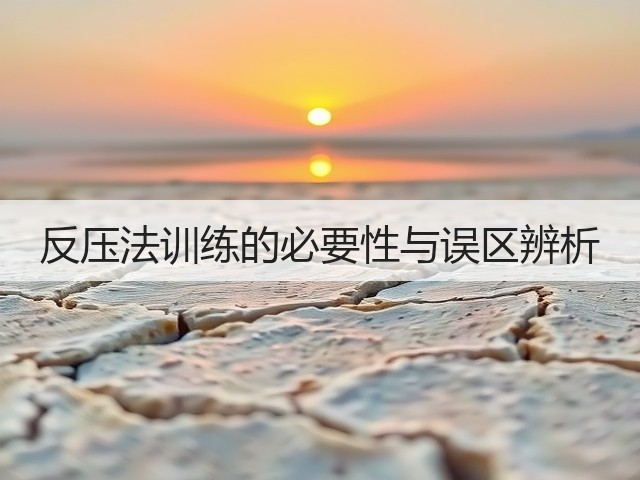 反压法训练的必要性与误区辨析(图3)