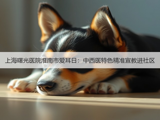 上海曙光医院淮南市爱耳日:中西医特色精准宣教进社区(图1) 上海曙光医院淮南市爱耳日:中西医特色精准宣教进社区(图1)