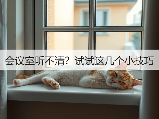 会议室听不清?试试这几个小技巧(图3) 会议室听不清?试试这几个小技巧(图3)