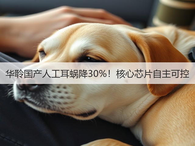 华聆国产人工耳蜗降30%!核心芯片自主可控(图1) 华聆国产人工耳蜗降30%!核心芯片自主可控(图1)