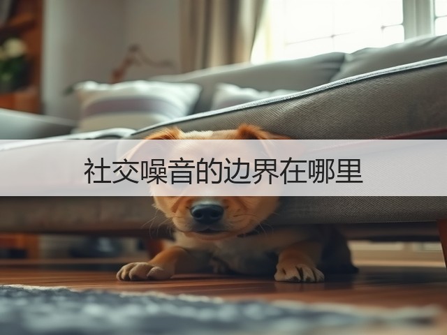 社交噪音的边界在哪里(图3)