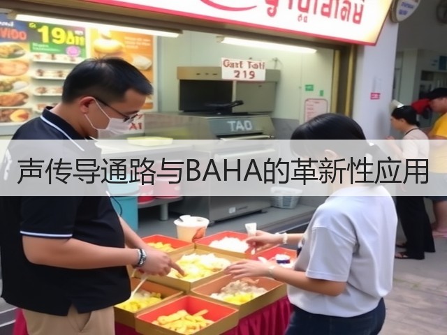 声传导通路与BAHA的革新性应用(图1) 声传导通路与BAHA的革新性应用(图1)