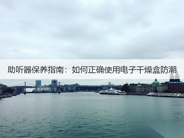 助听器保养指南：如何正确使用电子干燥盒防潮(图1)