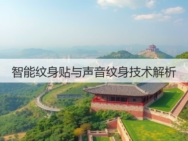 智能纹身贴与声音纹身技术解析(图3) 智能纹身贴与声音纹身技术解析(图3)