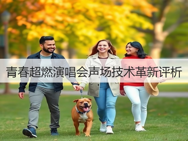 青春超燃演唱会声场技术革新评析(图1) 青春超燃演唱会声场技术革新评析(图1)
