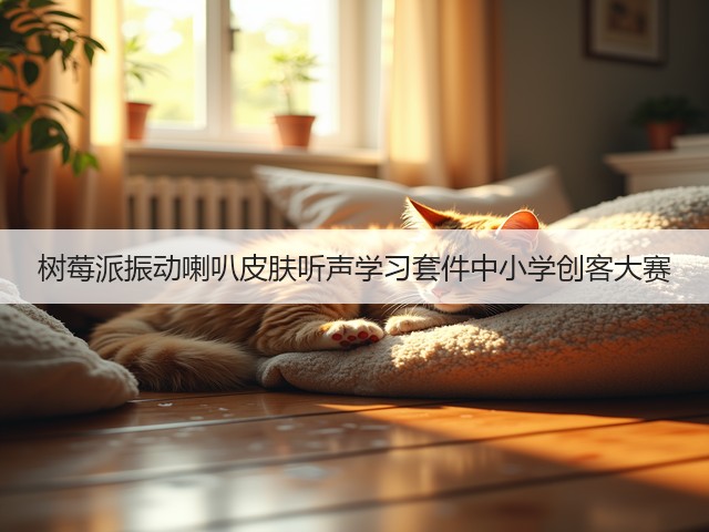 树莓派振动喇叭皮肤听声学习套件中小学创客大赛(图1) 树莓派振动喇叭皮肤听声学习套件中小学创客大赛(图1)
