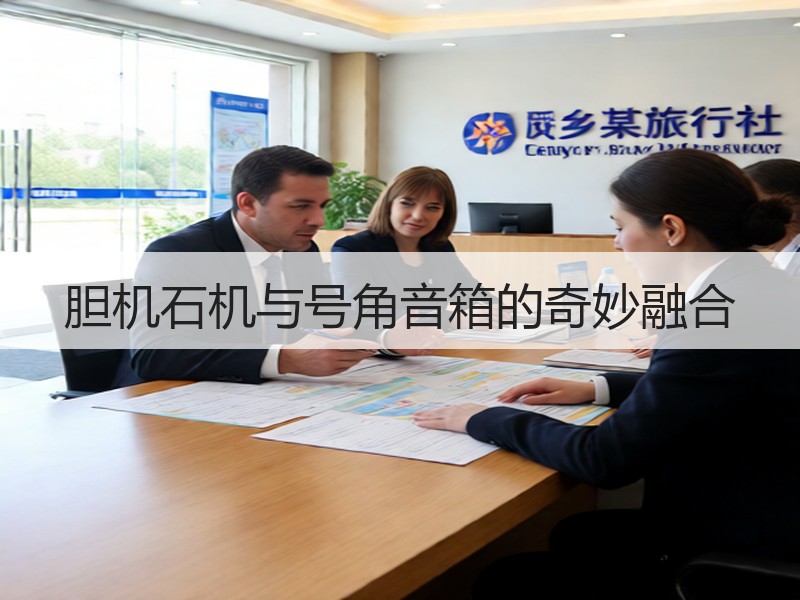 胆机石机与号角音箱的奇妙融合