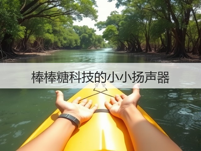 棒棒糖科技的小小扬声器(图1) 棒棒糖科技的小小扬声器(图1)