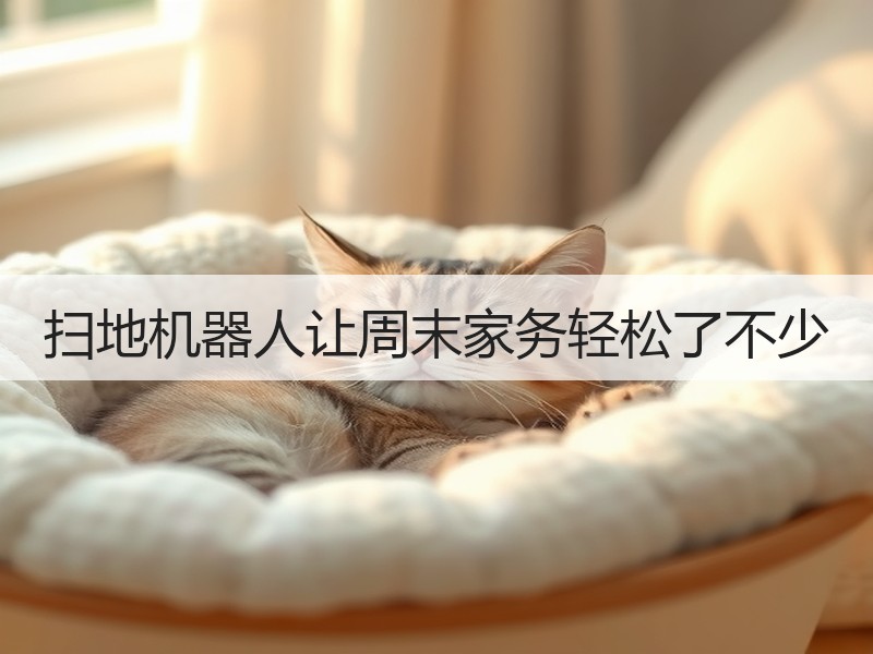 扫地机器人让周末家务轻松了不少