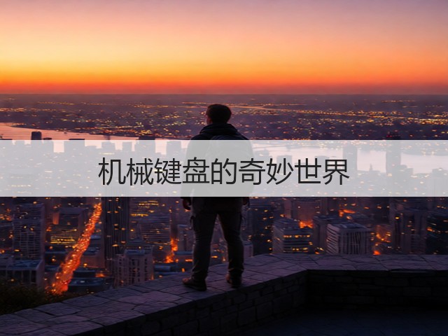 机械键盘的奇妙世界(图2)