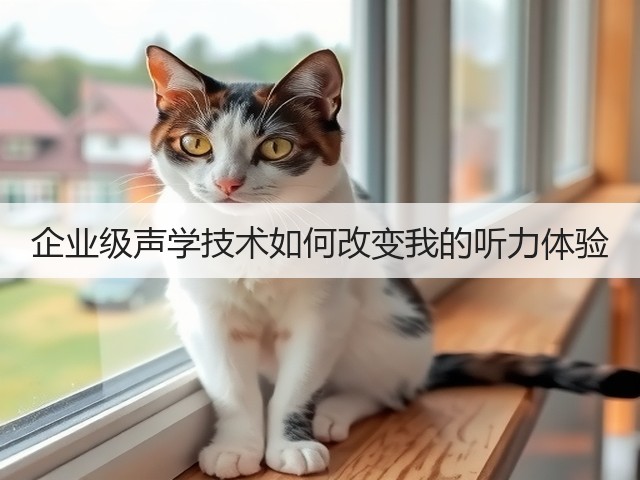 企业级声学技术如何改变我的听力体验(图3)