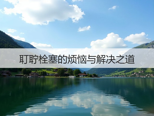 耵聍栓塞的烦恼与解决之道(图2) 耵聍栓塞的烦恼与解决之道(图2)