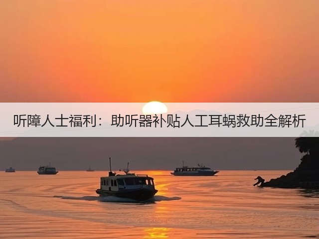 听障人士福利：助听器补贴人工耳蜗救助全解析(图2)