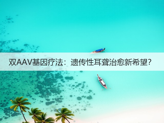 双AAV基因疗法:遗传性耳聋治愈新希望?(图1) 双AAV基因疗法:遗传性耳聋治愈新希望?(图1)