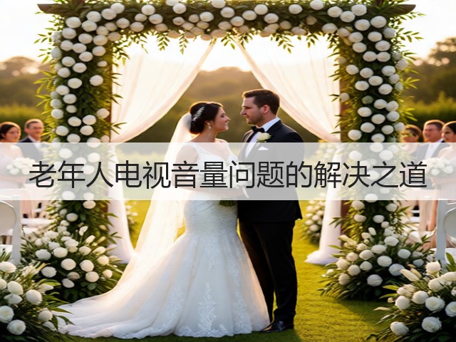 老年人电视音量问题的解决之道(图3)