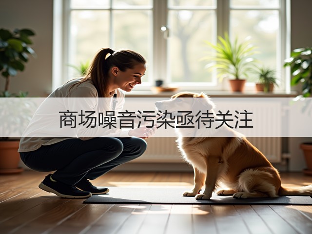 商场噪音污染亟待关注(图3) 商场噪音污染亟待关注(图3)