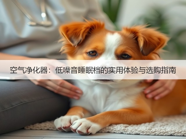 空气净化器:低噪音睡眠档的实用体验与选购指南(图2) 空气净化器:低噪音睡眠档的实用体验与选购指南(图2)