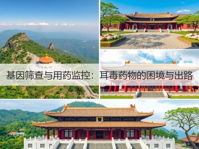基因筛查与用药监控:耳毒药物的困境与出路(图1) 基因筛查与用药监控:耳毒药物的困境与出路(图1)