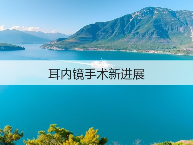 耳内镜手术新进展(图3) 耳内镜手术新进展(图3)
