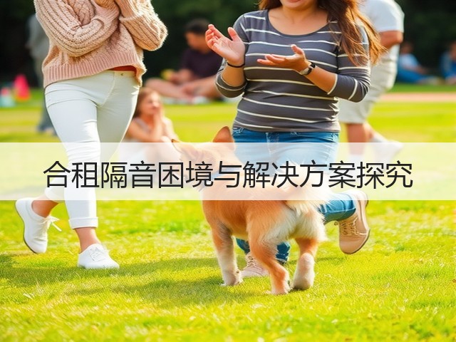 合租隔音困境与解决方案探究(图2) 合租隔音困境与解决方案探究(图2)