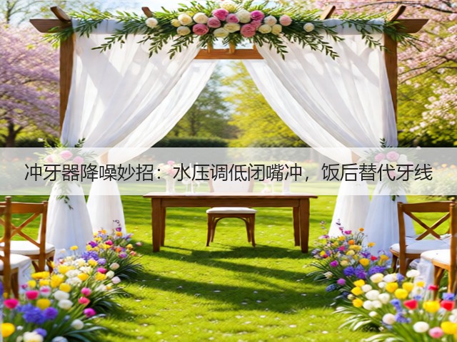 冲牙器降噪妙招：水压调低闭嘴冲，饭后替代牙线(图1)