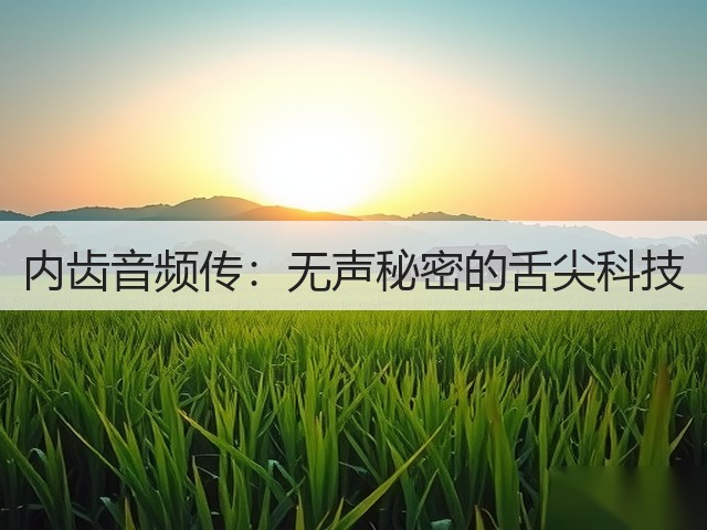 内齿音频传:无声秘密的舌尖科技(图2) 内齿音频传:无声秘密的舌尖科技(图2)