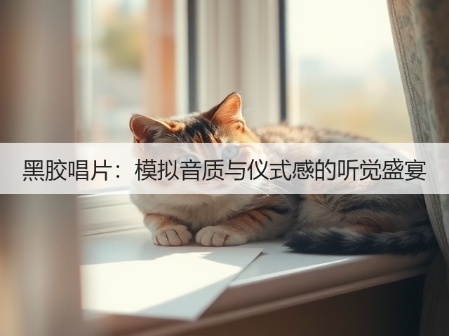 黑胶唱片:模拟音质与仪式感的听觉盛宴(图3) 黑胶唱片:模拟音质与仪式感的听觉盛宴(图3)